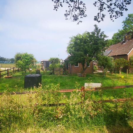 Trekkershut - Tiny House - Hikers Cottage Wijster Екстериор снимка