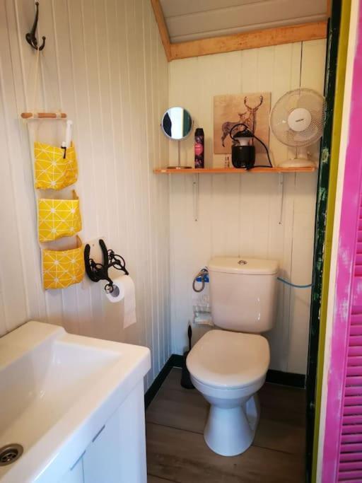 Trekkershut - Tiny House - Hikers Cottage Wijster Екстериор снимка